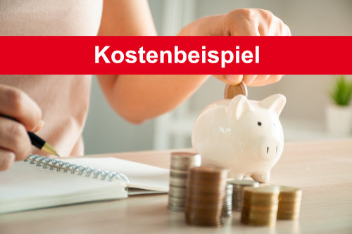 Tagespflege Lollar - Kostenbeispiel