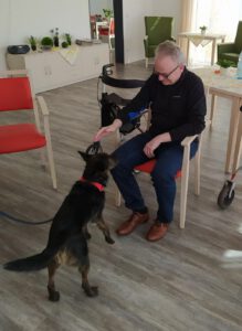 Therapiehund zu besuch bei der AWO GiLA